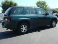 2005 Emerald Jewel Green Metallic Chevrolet TrailBlazer LS  photo #4