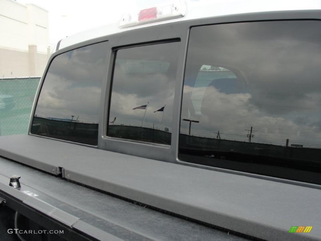 2010 F150 Platinum SuperCrew - Ingot Silver Metallic / Medium Stone Leather/Sienna Brown photo #22