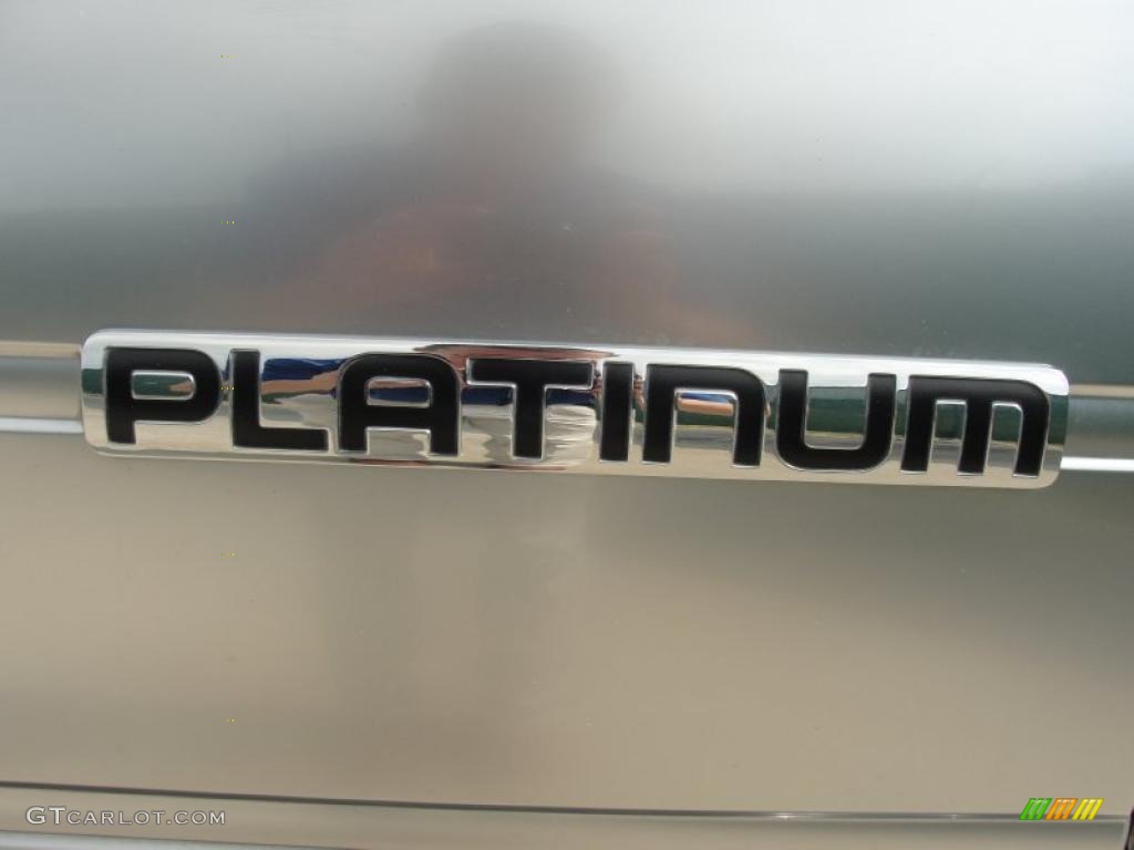 2010 F150 Platinum SuperCrew - Ingot Silver Metallic / Medium Stone Leather/Sienna Brown photo #24