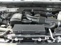  2010 F150 Platinum SuperCrew 5.4 Liter Flex-Fuel SOHC 24-Valve VVT Triton V8 Engine