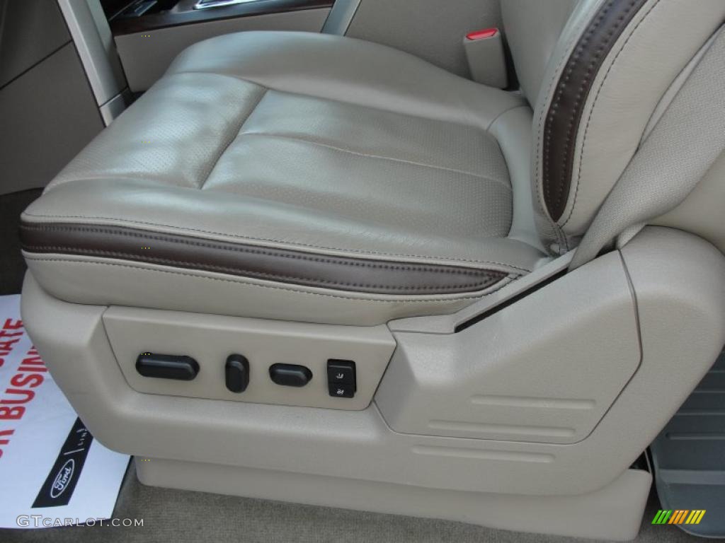 Medium Stone Leather/Sienna Brown Interior 2010 Ford F150 Platinum SuperCrew Photo #49260452