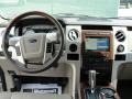 Medium Stone Leather/Sienna Brown Dashboard Photo for 2010 Ford F150 #49260509