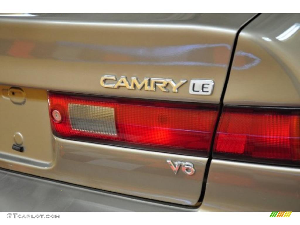 1999 Camry LE V6 - Sable Pearl / Oak photo #5