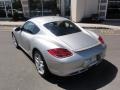 Arctic Silver Metallic - Cayman S Photo No. 14