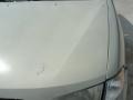 Cultured Sandstone Pearl Metallic - Altima GXE Photo No. 10