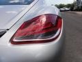 2009 Arctic Silver Metallic Porsche Cayman S  photo #36