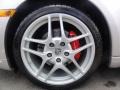 2009 Porsche Cayman S Wheel and Tire Photo