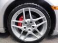 2009 Porsche Cayman S Wheel and Tire Photo