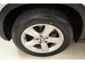 Alpine White - X5 3.0si Photo No. 12
