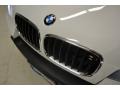 Alpine White - X5 3.0si Photo No. 14