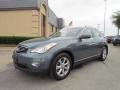 2008 Tidewater Blue Infiniti EX 35 Journey AWD  photo #3