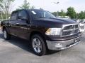 2011 Rugged Brown Pearl Dodge Ram 1500 Big Horn Crew Cab  photo #4