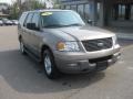 Arizona Beige Metallic - Expedition XLT Photo No. 1