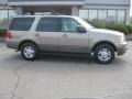 Arizona Beige Metallic - Expedition XLT Photo No. 7