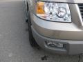 Arizona Beige Metallic - Expedition XLT Photo No. 14