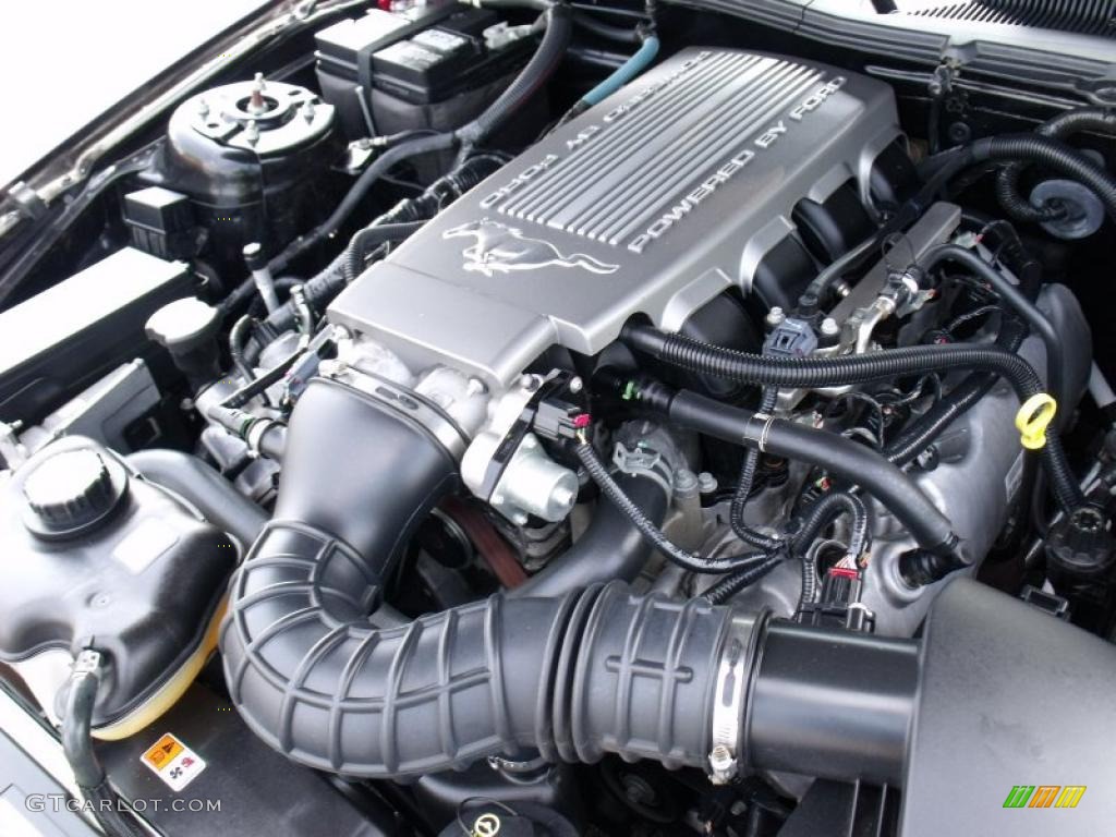 2008 Ford Mustang GT Premium Convertible 4.6 Liter SOHC 24-Valve VVT V8 Engine Photo #49273994