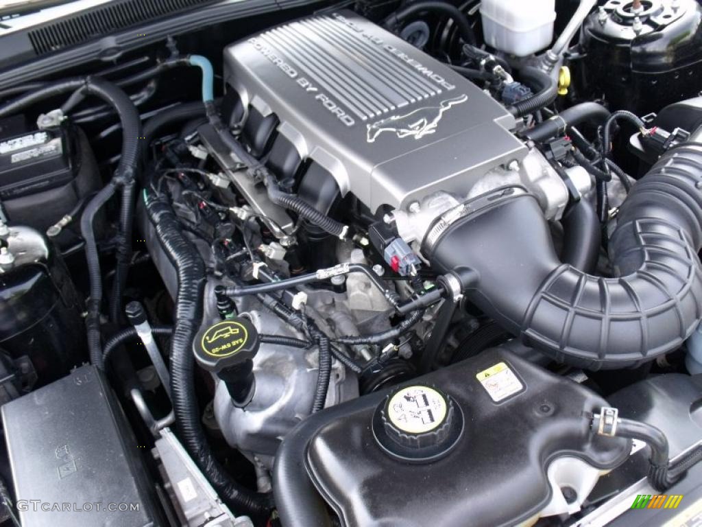 2008 Ford Mustang GT Premium Convertible 4.6 Liter SOHC 24-Valve VVT V8 Engine Photo #49274009