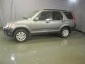 Silver Moss Metallic - CR-V EX 4WD Photo No. 3