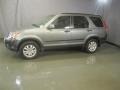 2006 Silver Moss Metallic Honda CR-V EX 4WD  photo #3