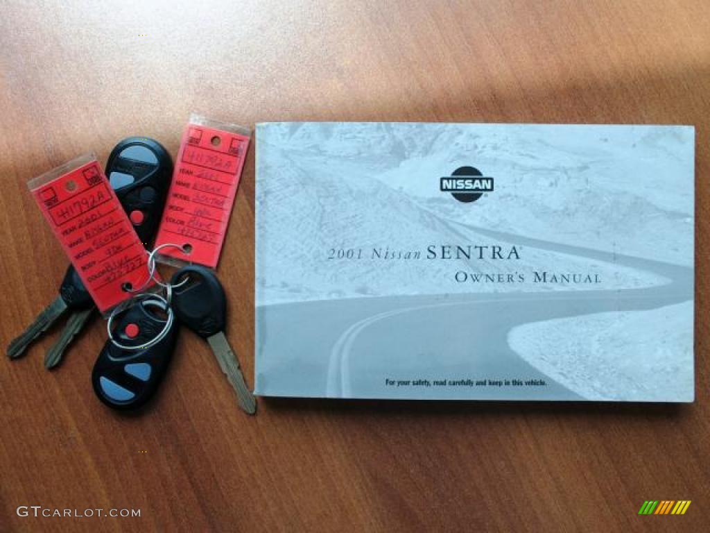 2001 Sentra GXE - Out Of The Blue / Stone photo #20