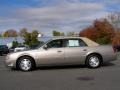 Bronzemist - DeVille Sedan Photo No. 4