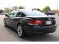 2008 Black Sapphire Metallic BMW 7 Series 750Li Sedan  photo #7