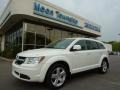 Stone White - Journey SXT AWD Photo No. 1
