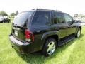 Black Granite Metallic - TrailBlazer LT 4x4 Photo No. 8