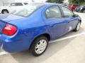 2004 Electric Blue Pearlcoat Dodge Neon SXT  photo #7