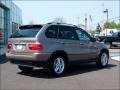 2004 Kalahari Beige Metallic BMW X5 4.4i  photo #4