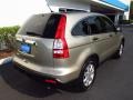 2008 Borrego Beige Metallic Honda CR-V EX  photo #3