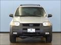 Satin Silver Metallic - Escape XLT V6 Photo No. 2