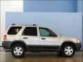 Satin Silver Metallic - Escape XLT V6 Photo No. 4