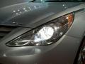 2011 Radiant Silver Hyundai Sonata SE  photo #23