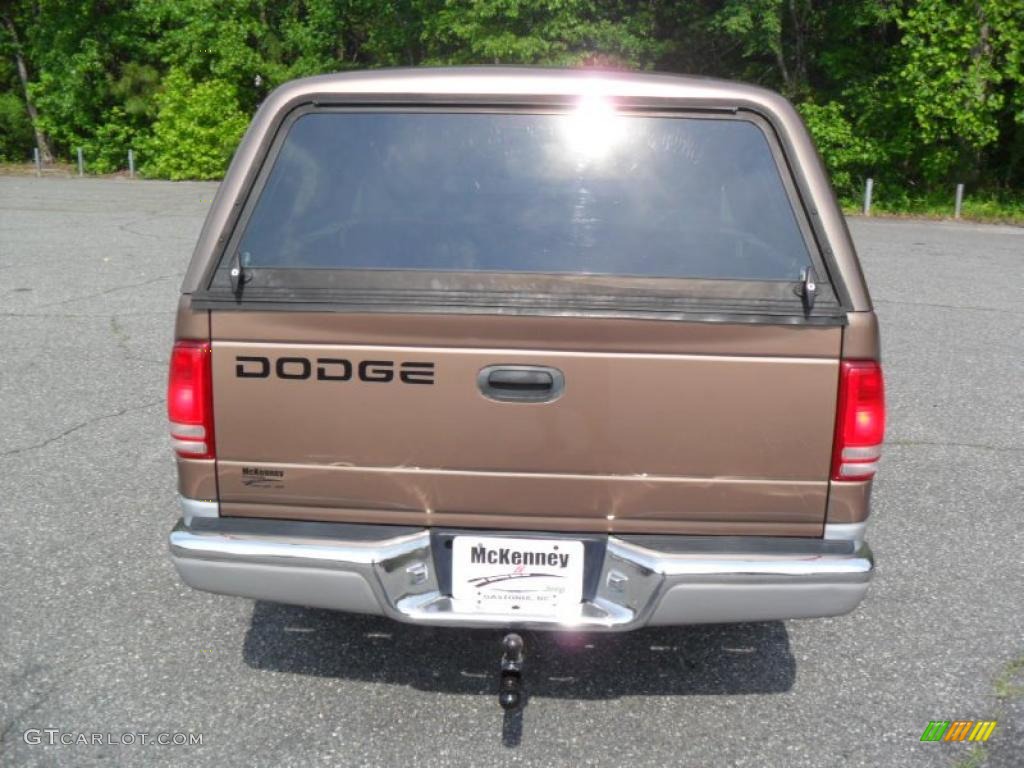 2001 Dakota SLT Quad Cab - Medium Bronze Pearl / Taupe photo #3