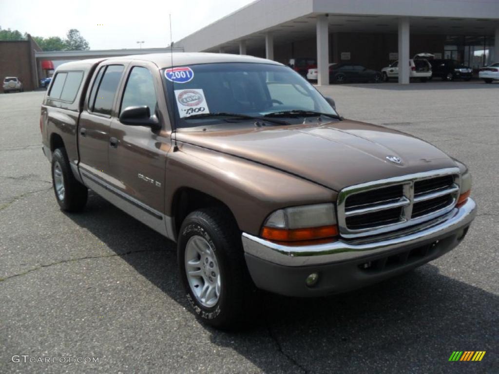 2001 Dakota SLT Quad Cab - Medium Bronze Pearl / Taupe photo #5