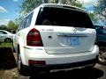 Arctic White - GL 450 4Matic Photo No. 5
