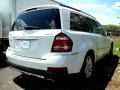 Arctic White - GL 450 4Matic Photo No. 7