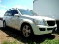 Arctic White - GL 450 4Matic Photo No. 10