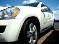 Arctic White - GL 450 4Matic Photo No. 44