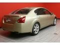 Champagne Mist Metallic - Maxima 3.5 SE Photo No. 3