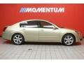 Champagne Mist Metallic - Maxima 3.5 SE Photo No. 4