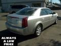 Light Platinum - CTS Sedan Photo No. 7