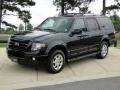 Black 2009 Ford Expedition Limited Exterior