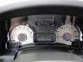 Charcoal Black Gauges Photo for 2009 Ford Expedition #49316328