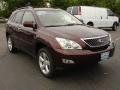 2008 Brandywine Mica Lexus RX 350 AWD  photo #3