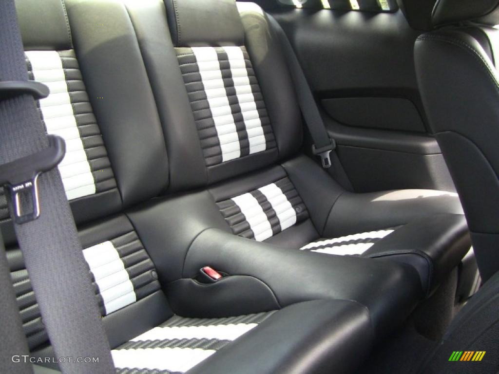 Charcoal Black/White Interior 2010 Ford Mustang Shelby GT500 Coupe Photo #49320744