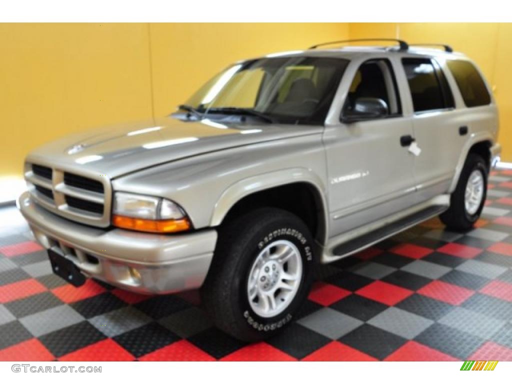 2001 Light Pewter Metallic Dodge Durango SLT 4x4 49300300 Photo 2