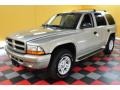 Light Pewter Metallic - Durango SLT 4x4 Photo No. 2