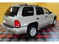 Light Pewter Metallic - Durango SLT 4x4 Photo No. 4